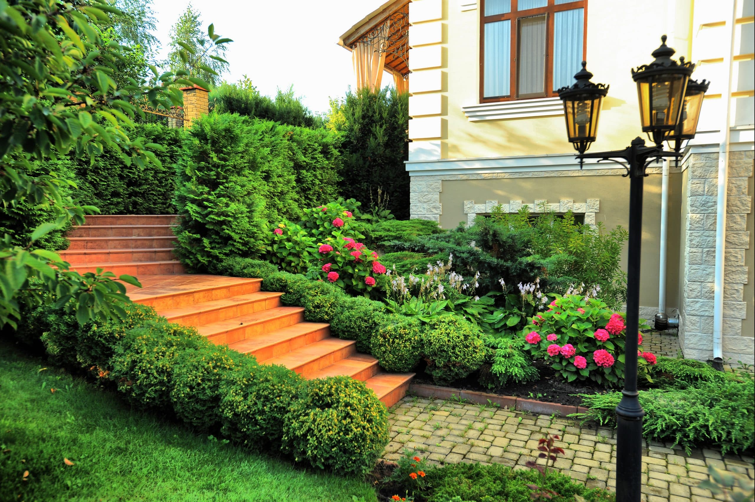 Best Landscape Designer