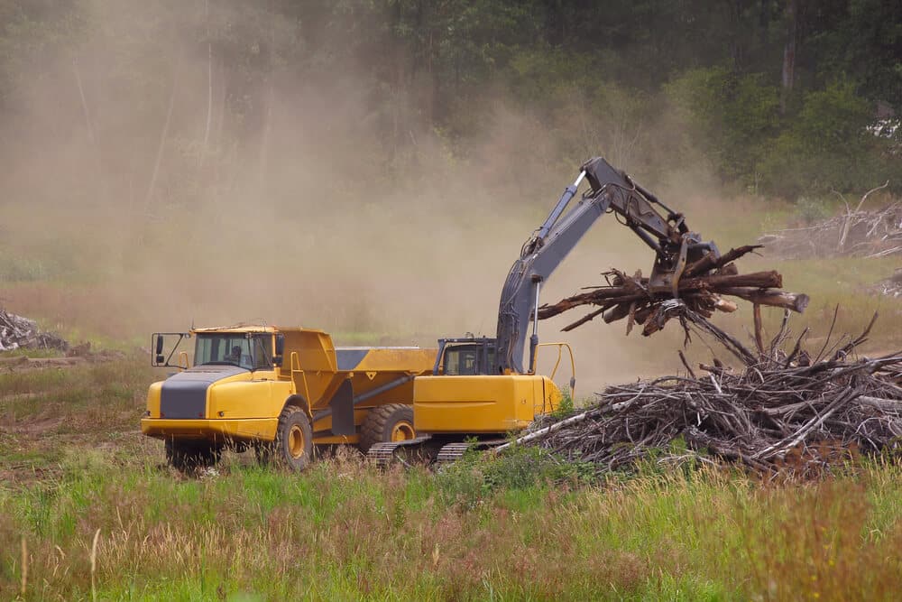 Land Clearing