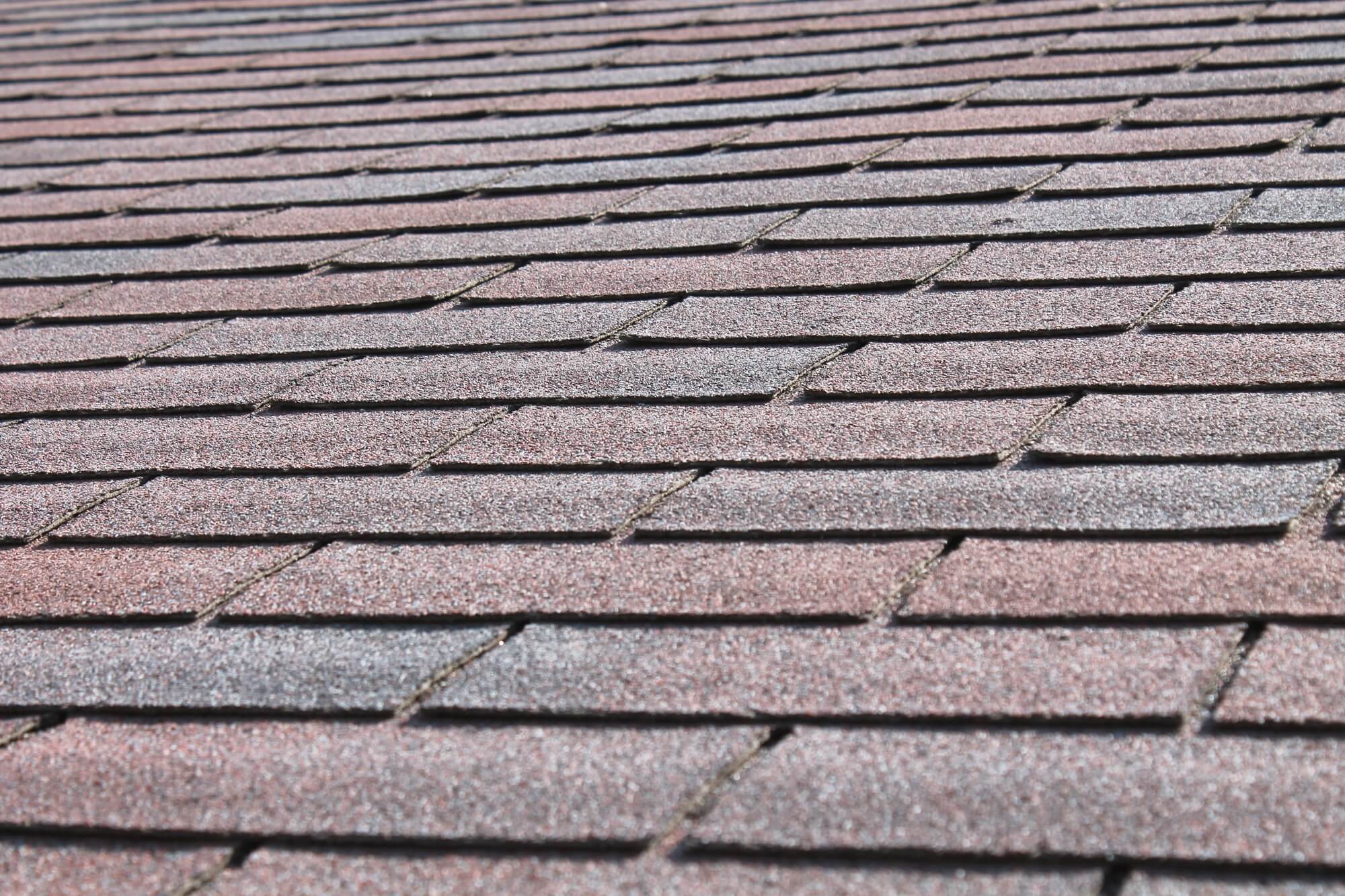 Shingle Roofs