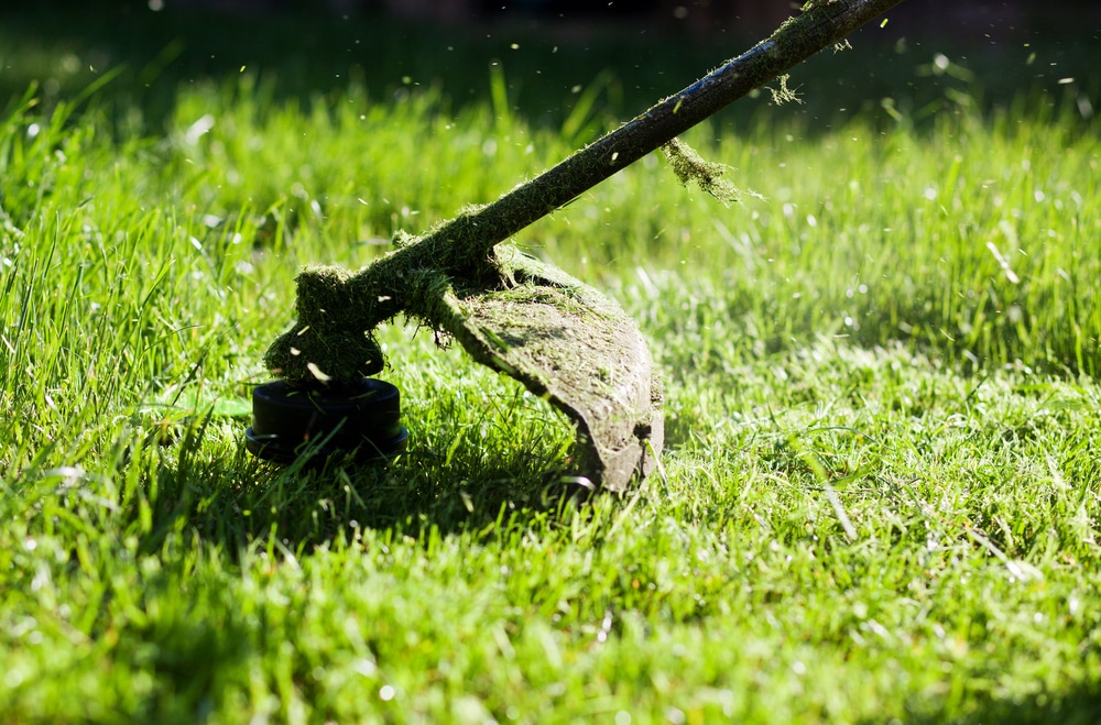 Lawn Care