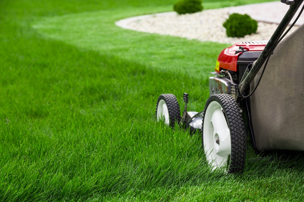 Landscape Maintenance