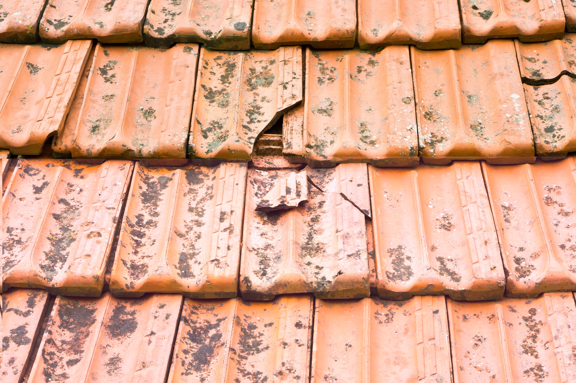 Residential Roof Replacement In New Orleans | Big Easy Contractors