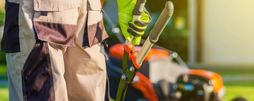 Landscaping Management Services