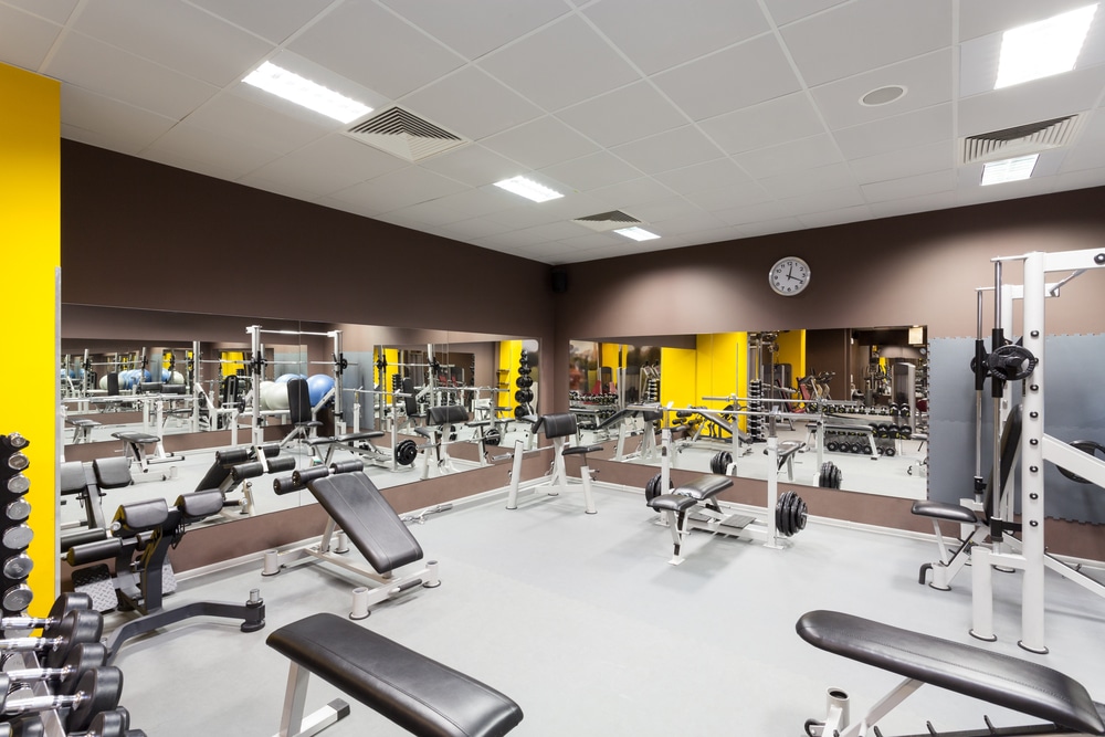 Gym Painting