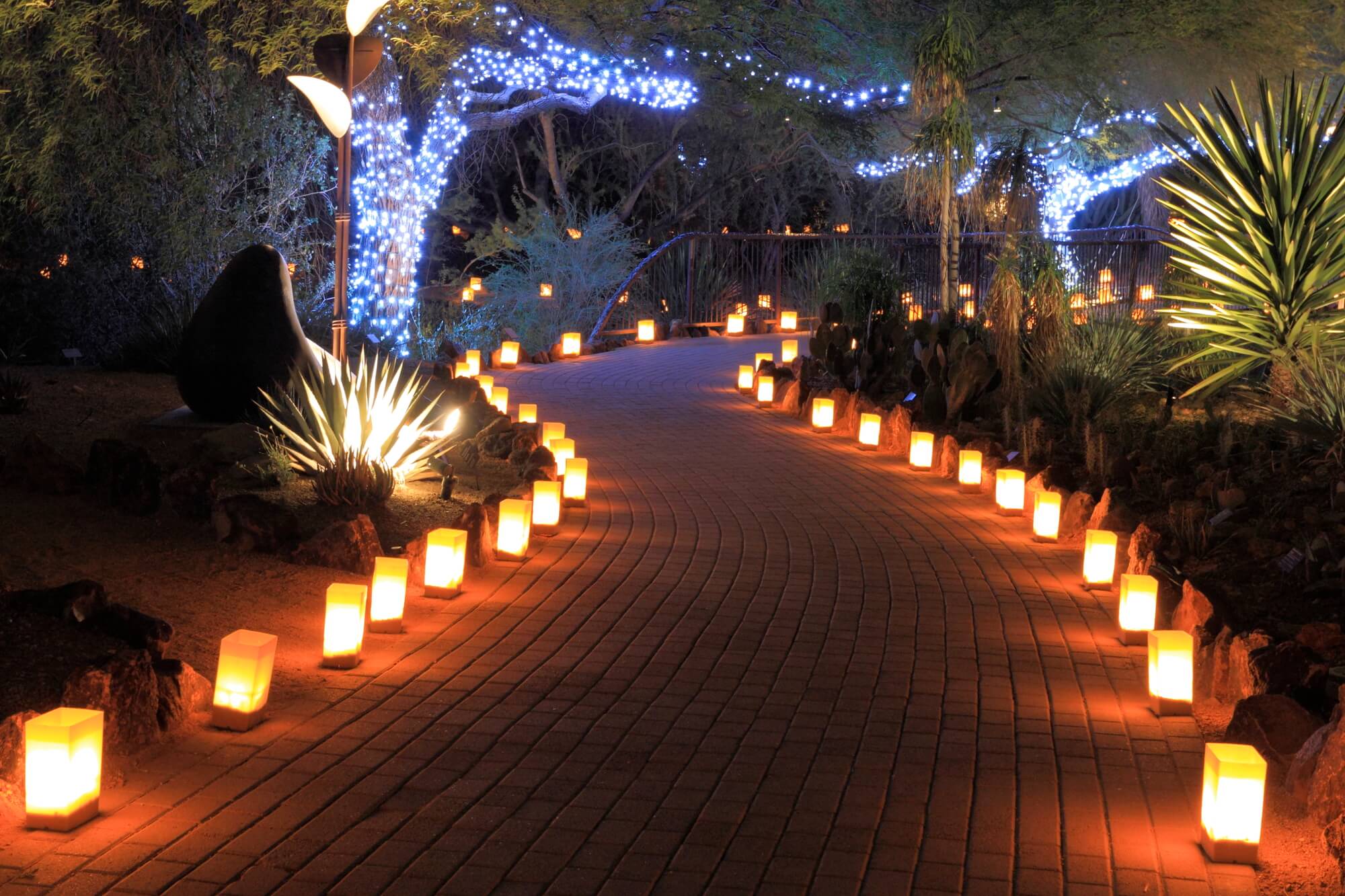 Garden Lights