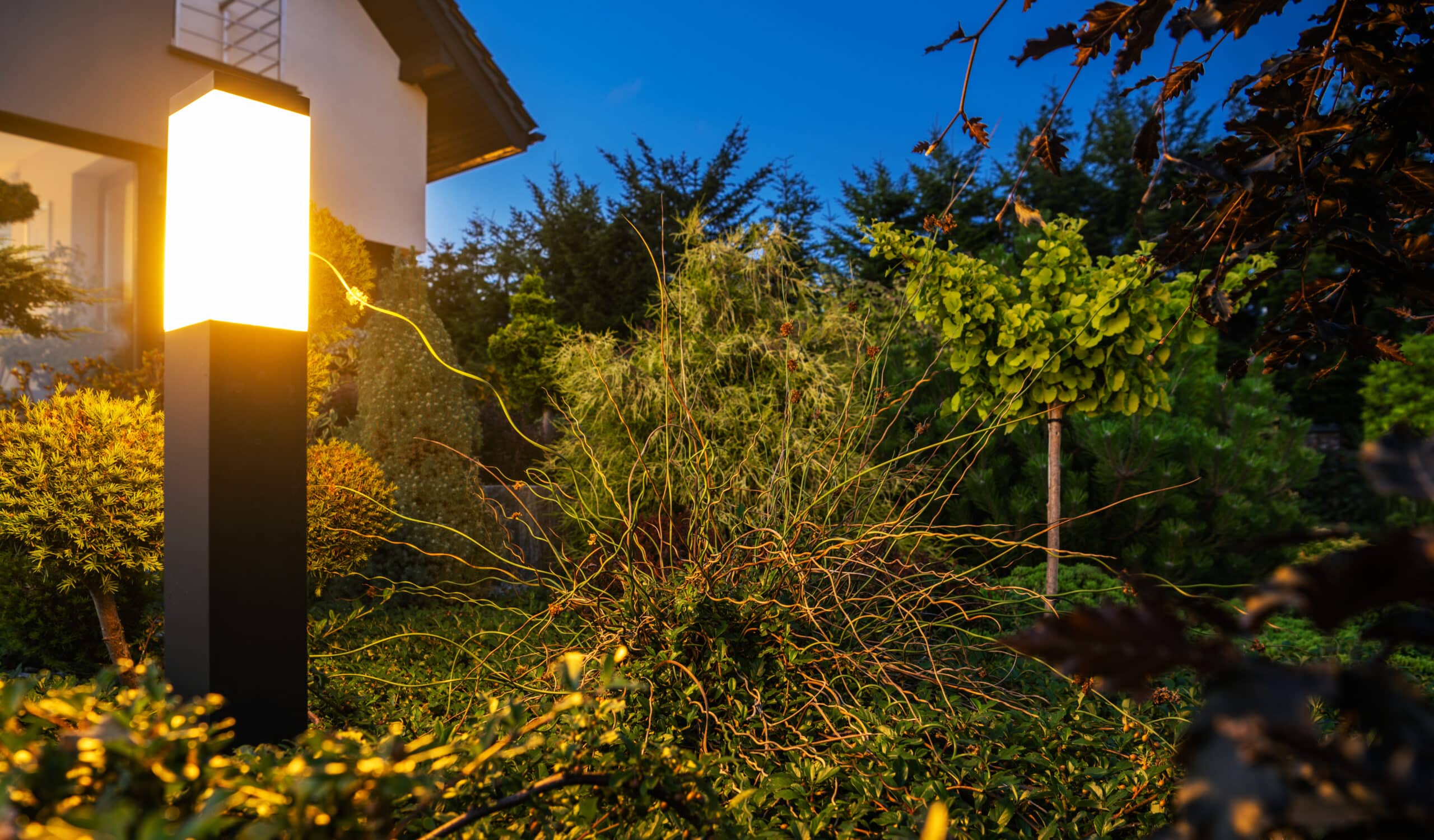 Landscape Lighting